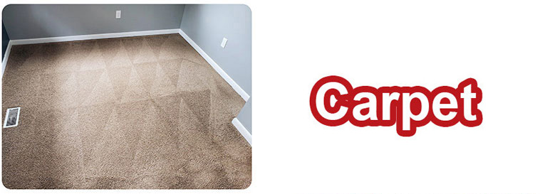 Carpet Upholstery Cleaning Services In Calhoun 109 Safe Dry